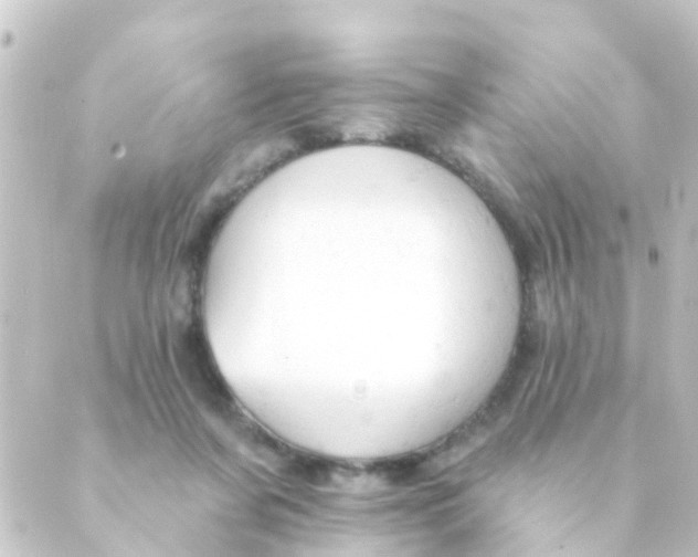 X0000088650311200706221617