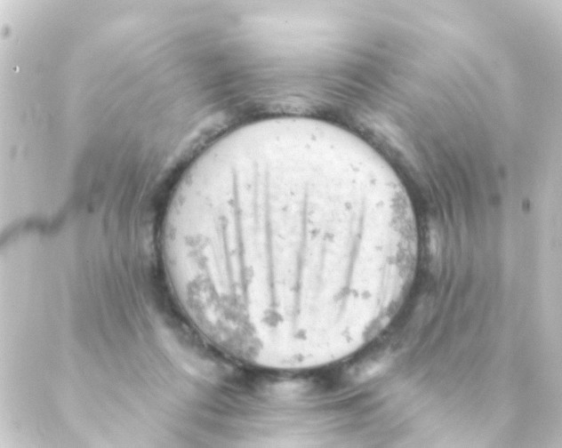 X0000088650312200706221617