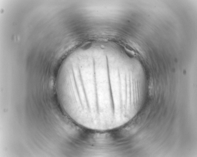 X0000088650314200706221617