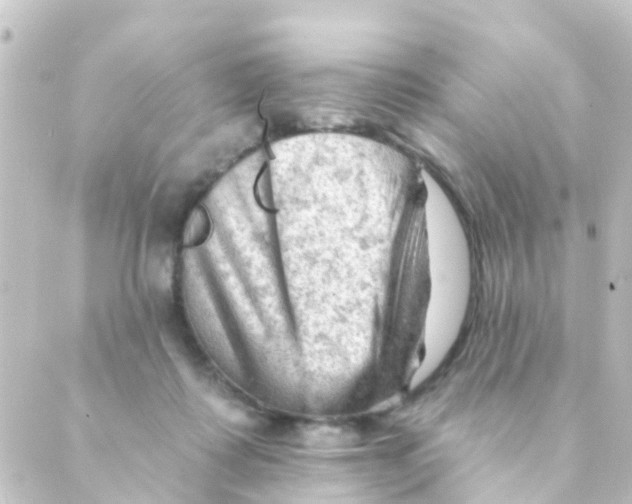 X0000088650315200706221617