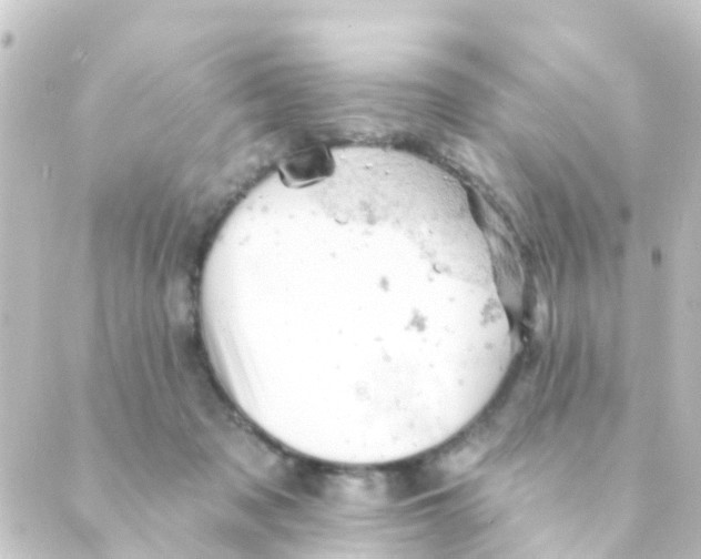 X0000088650317200706221617