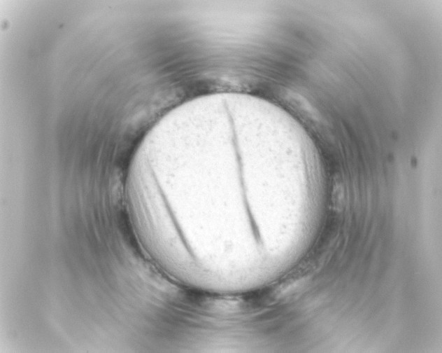 X0000088650318200706221617