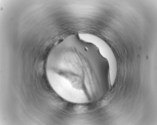 X0000088650319200706221617