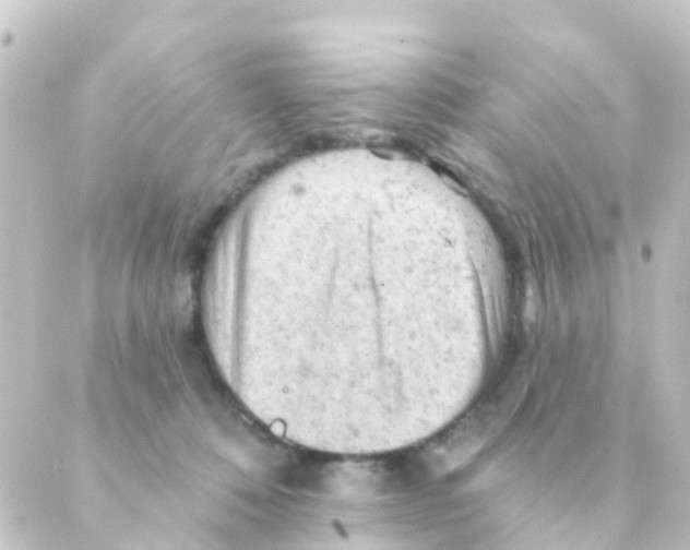 X0000088650320200706221617