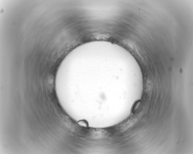 X0000088650321200706221617