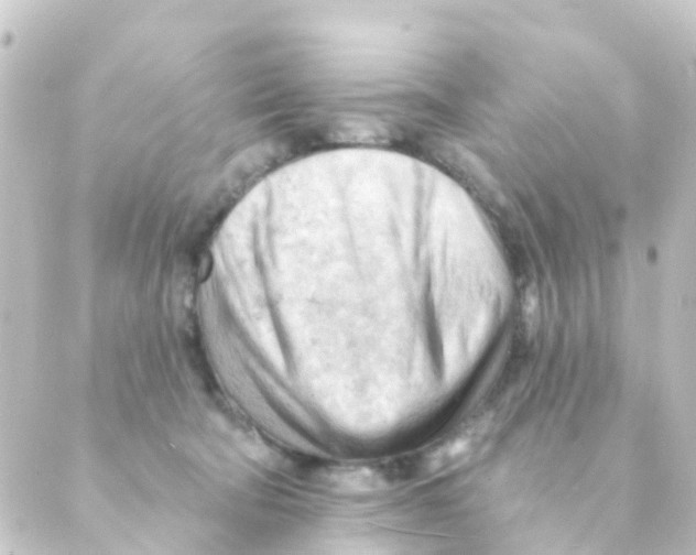 X0000088650322200706221617