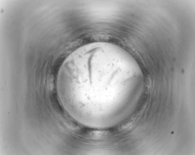 X0000088650323200706221617