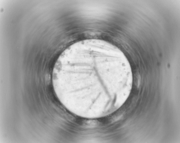 X0000088650324200706221617