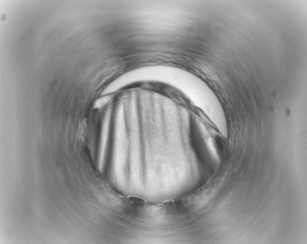 X0000088650325200706221617