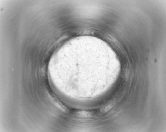 X0000088650326200706221617