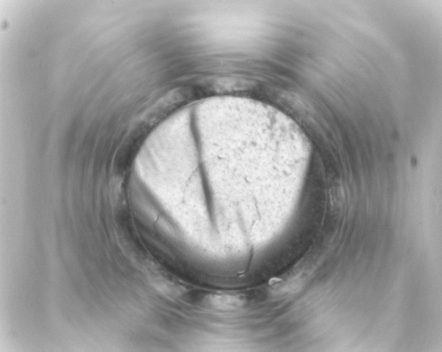 X0000088650327200706221617