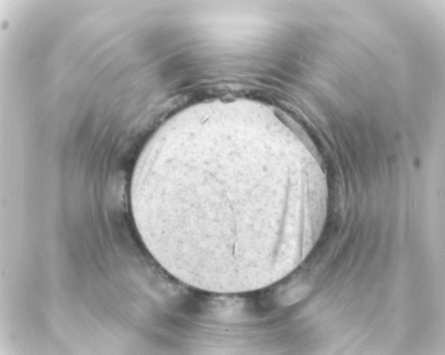 X0000088650328200706221617