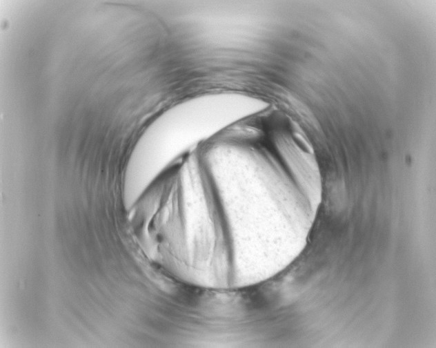 X0000088650329200706221617