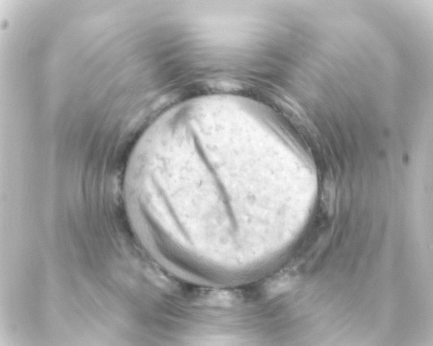 X0000088650330200706221617