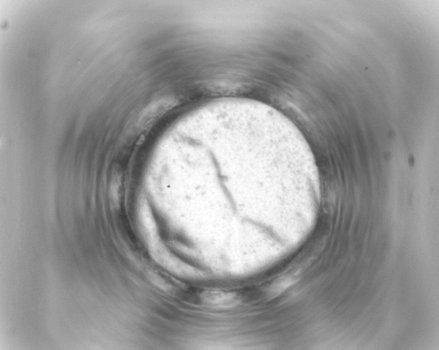 X0000088650334200706221616