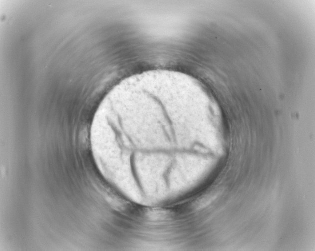 X0000088650336200706221616