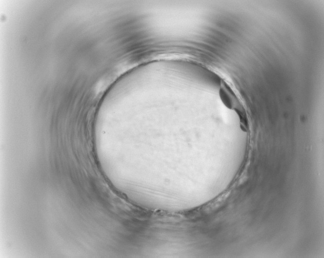 X0000088650337200706221616