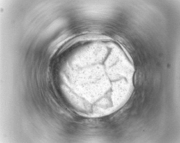 X0000088650338200706221616