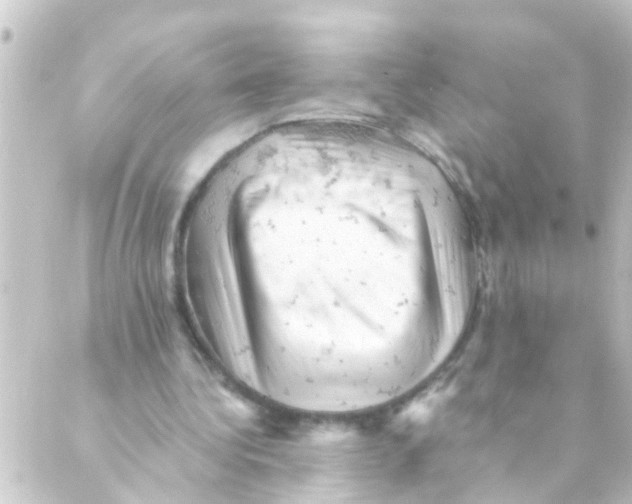 X0000088650340200706221616