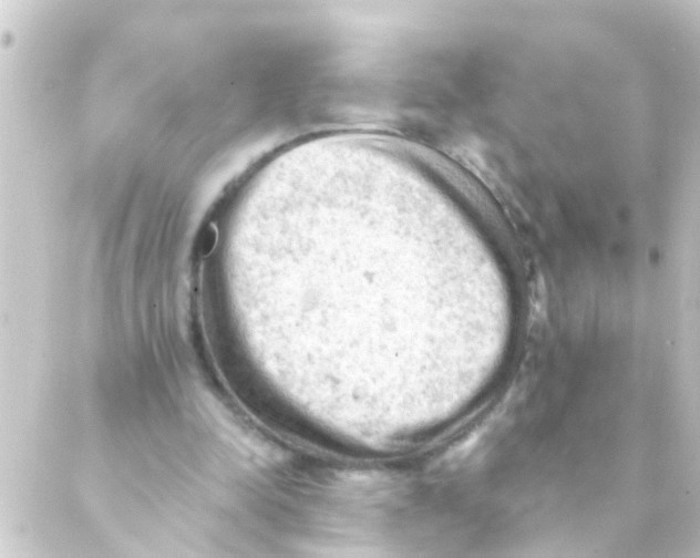 X0000088650342200706221616