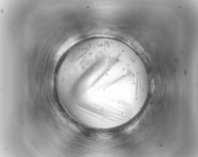 X0000088650344200706221616