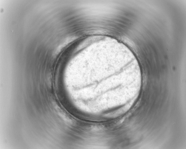 X0000088650345200706221616