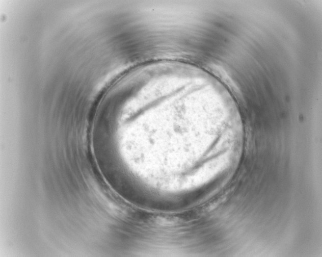 X0000088650346200706221616