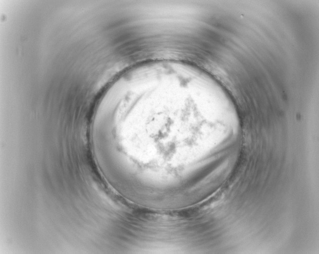 X0000088650347200706221616