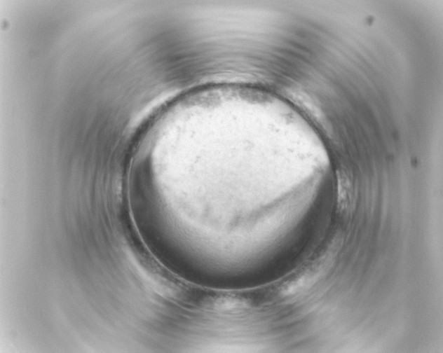 X0000088650348200706221616