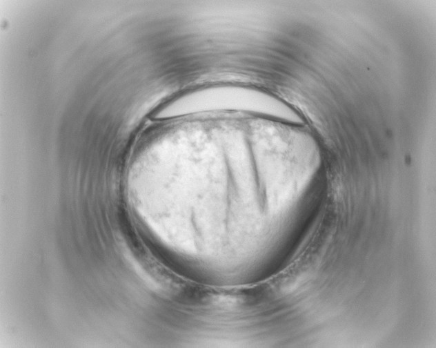 X0000088650352200706221616