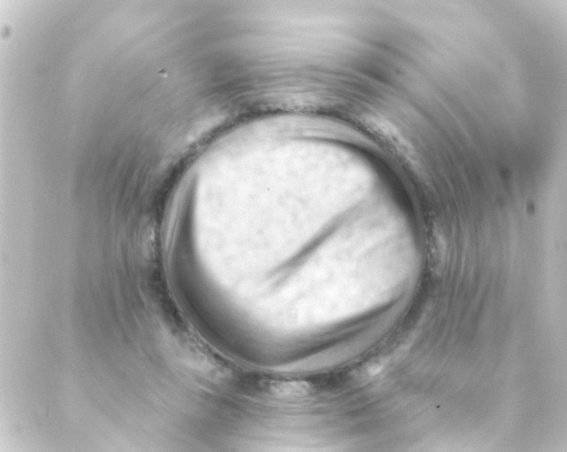 X0000088650355200706221616