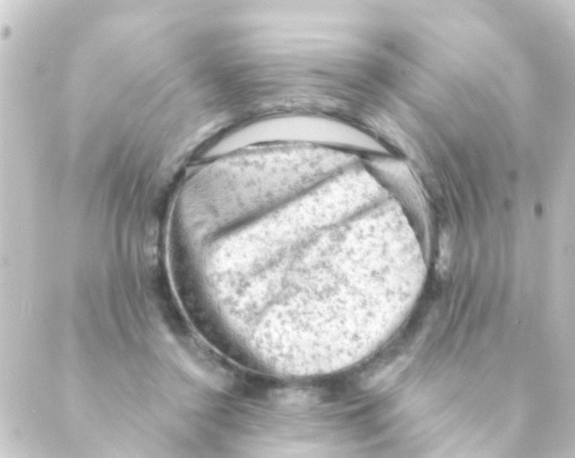 X0000088650356200706221616