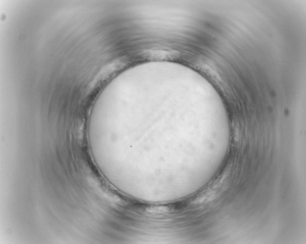 X0000088650357200706221616