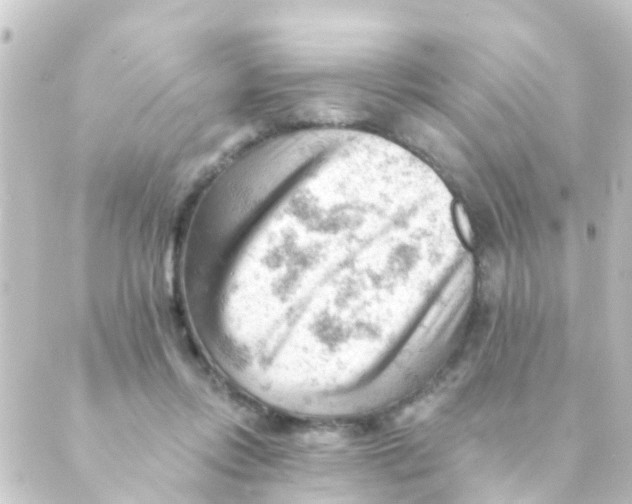 X0000088650358200706221616