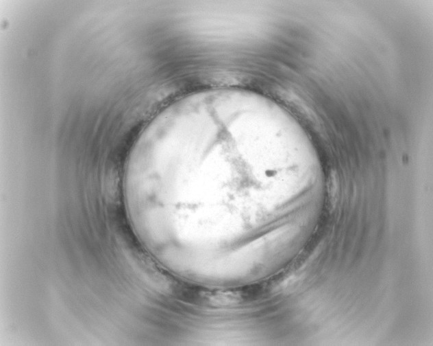 X0000088650359200706221616