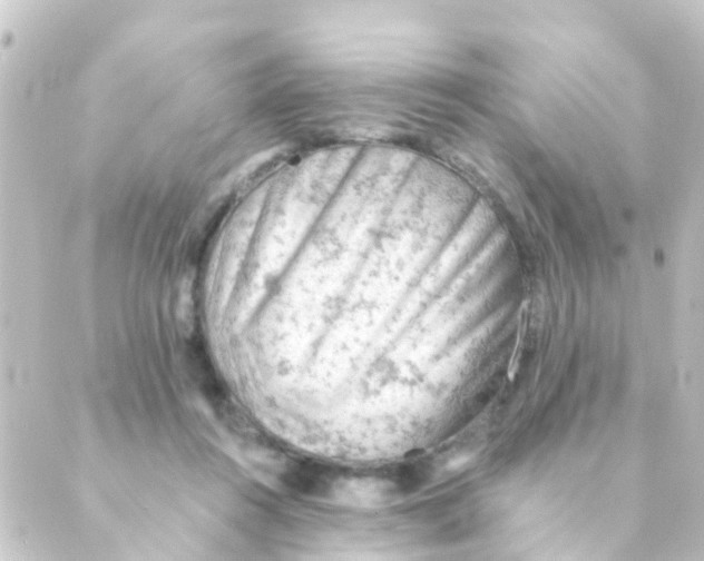 X0000088650360200706221616