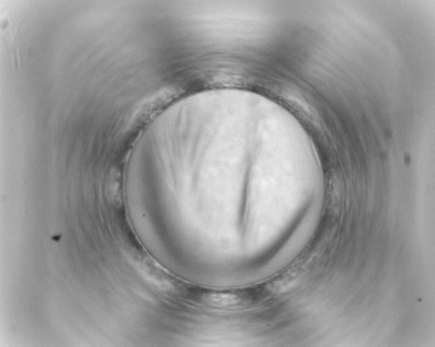 X0000088650361200706221616