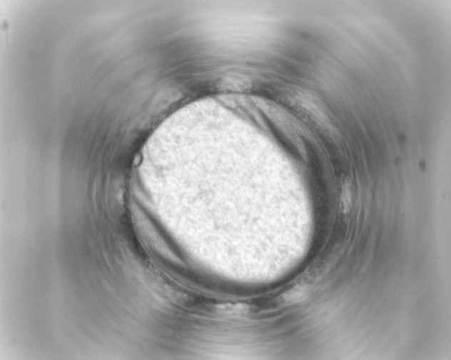 X0000088650363200706221616