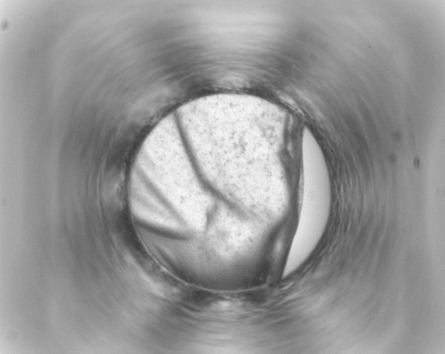 X0000088650364200706221616