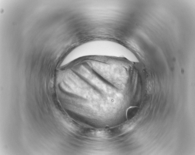 X0000088650365200706221616