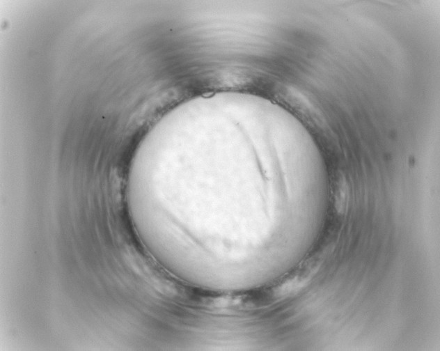 X0000088650366200706221616