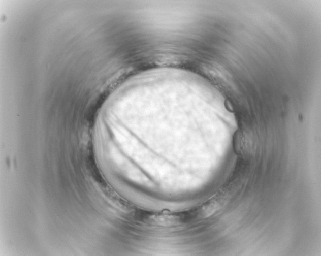 X0000088650367200706221616