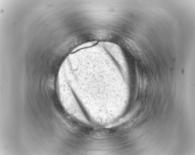 X0000088650368200706221616