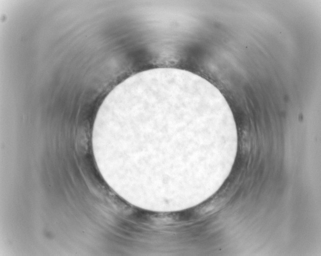 X0000088650370200706221616