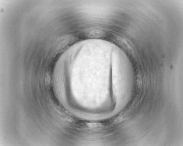 X0000088650371200706221616