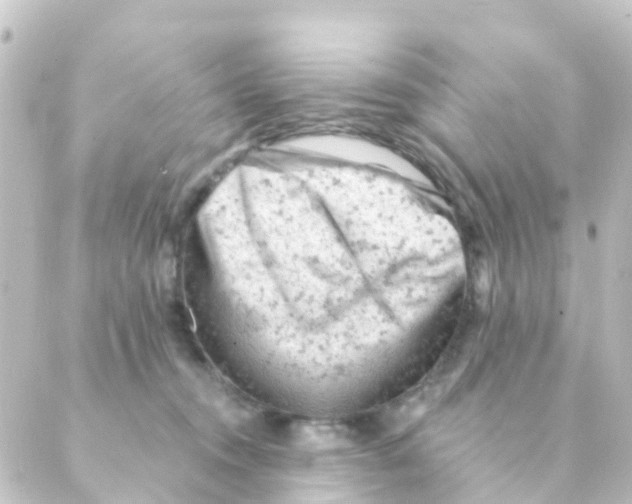 X0000088650372200706221616