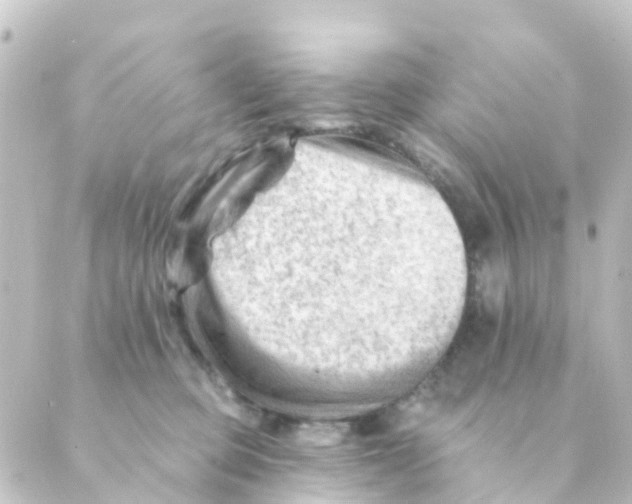 X0000088650373200706221616