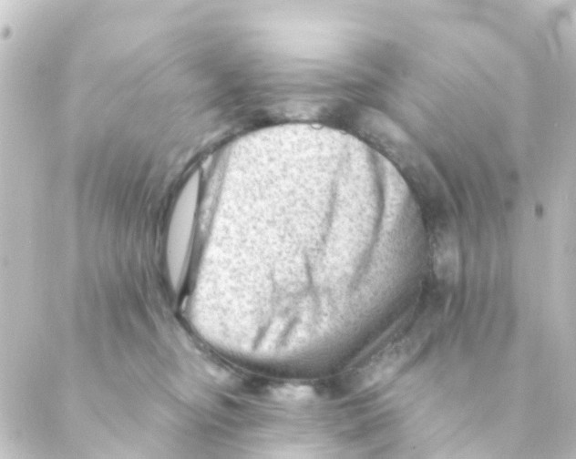 X0000088650374200706221616