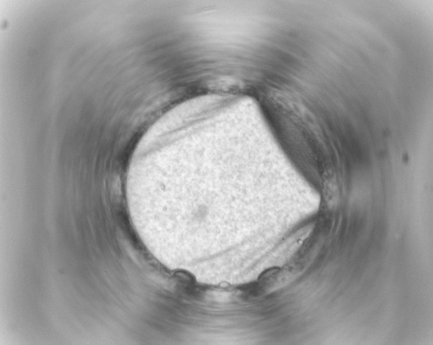 X0000088650375200706221616