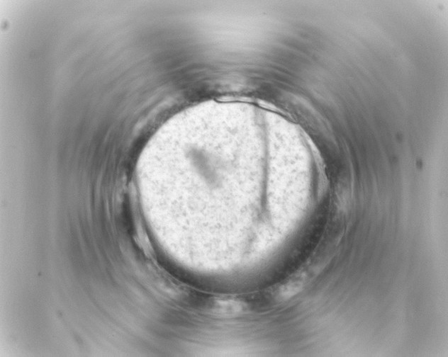 X0000088650376200706221616